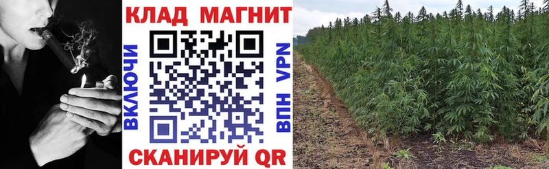 Наркошоп купить БУТИРАТ  АМФ  Меф  ГАШИШ  Конопля  A PVP  Бежецк