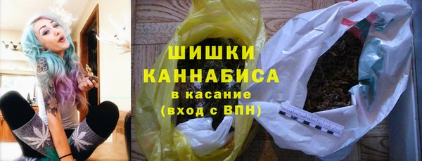 spice Горняк