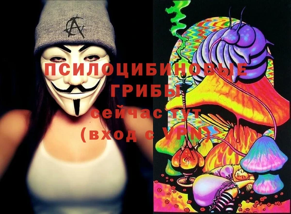 spice Горняк