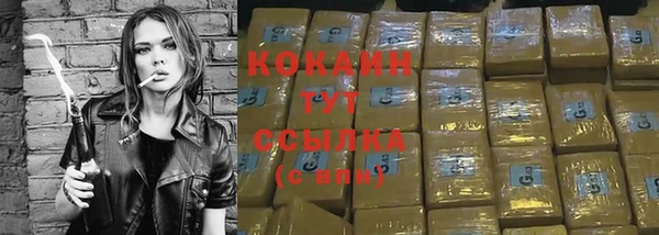spice Горняк