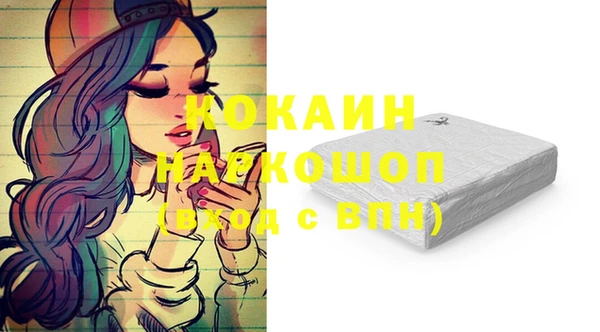 spice Горняк