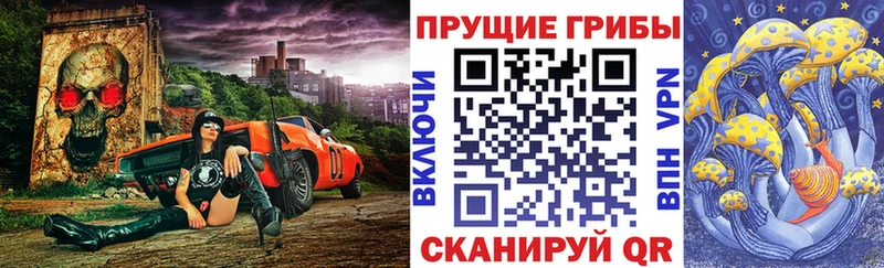 Купить  Бежецк  Галлюциногенные грибы Psilocybe 