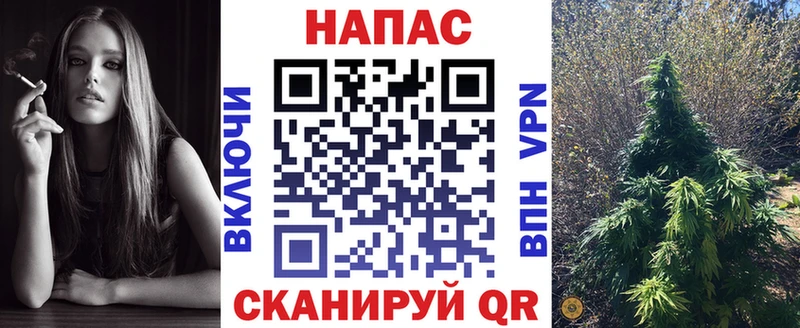Купить где  Бежецк  Канабис конопля 